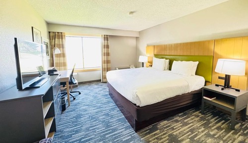 Room, 1 King Bed, Mobility Accessible, Non Smoking (Bathtub w/ Grab Bars)