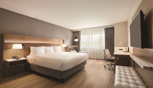 Room, 1 King Bed, Accessible, Non Smoking
