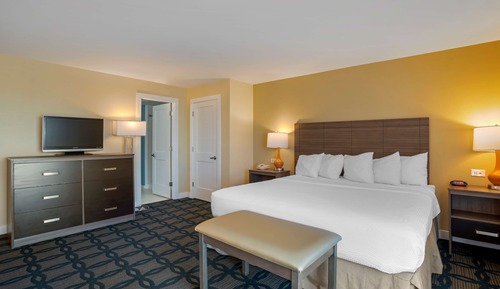 Standard Room, 1 King Bed, Non Smoking, Balcony (Shower Only with Sofabed)
