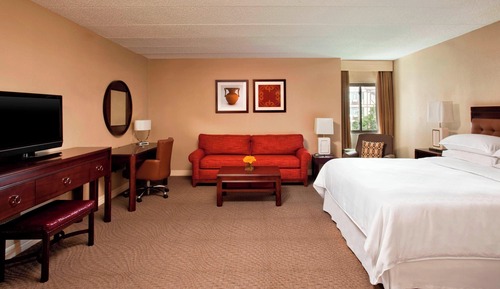 Junior Suite, 1 King Bed with Sofa bed (Hearing Accessible)