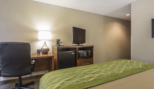 Standard Room, 1 King Bed, Non Smoking