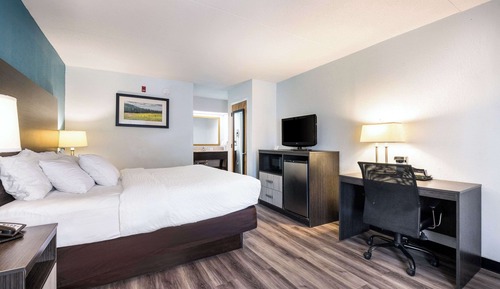 Standard Room, 1 King Bed, Non Smoking