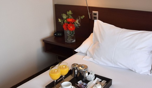 Standard Double Room, 1 King Bed