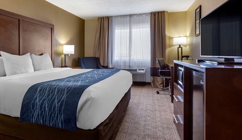 Room, 1 King Bed, Accessible, Non Smoking