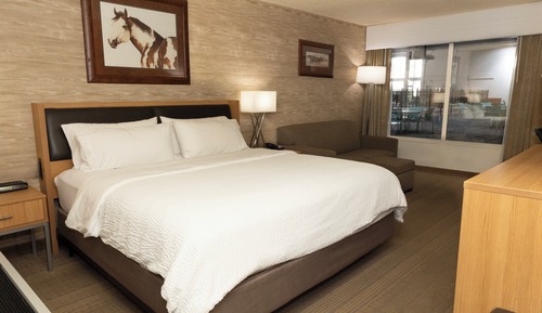 Standard Room, 1 King Bed, Pool View