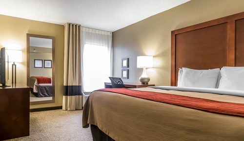 Standard Room, 1 King Bed, Non Smoking