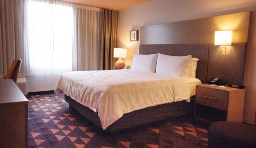Room, 1 King Bed, Mobility Accessible, Non Smoking (Roll-in Shower)
