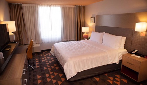 Room, 1 King Bed, Mobility Accessible, Non Smoking (Bathtub W/grab Bars)
