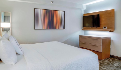 Suite, 1 King Bed with Sofa bed