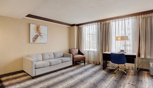Standard Room, 1 King Bed with Sofa bed