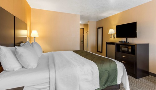 Room, 1 King Bed, Non Smoking
