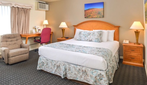 Room, 1 King Bed