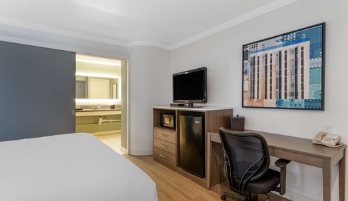 Standard Room, 1 King Bed, Accessible, Refrigerator & Microwave