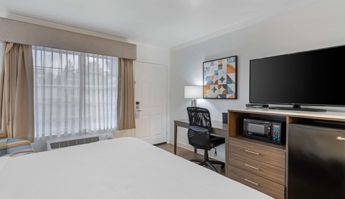 Standard Room, 1 King Bed, Non Smoking, Refrigerator & Microwave