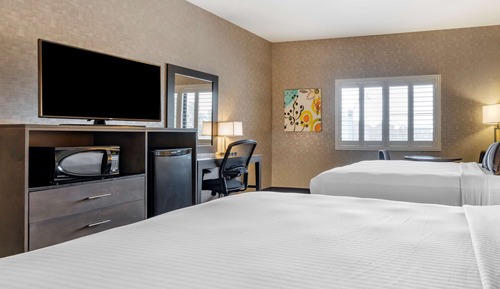 Standard Room, 2 Queen Beds, Accessible, Refrigerator & Microwave (Walk-in Shower)