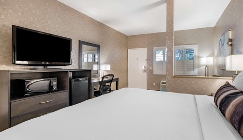 Standard Room, 1 King Bed, Non Smoking, Refrigerator & Microwave (with Sofabed)