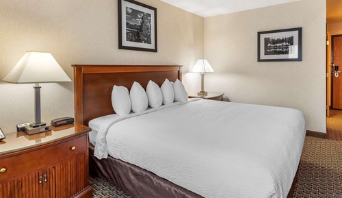 Room, 1 King Bed, Accessible, Non Smoking