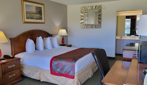 Room, 1 King Bed, Non Smoking