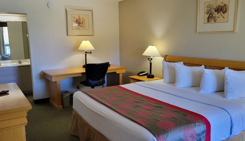 Deluxe Room, 1 King Bed, Non Smoking (Newly Renovated)