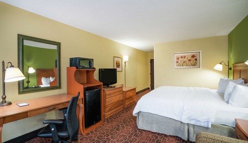 Room, 1 King Bed, Accessible, Non Smoking