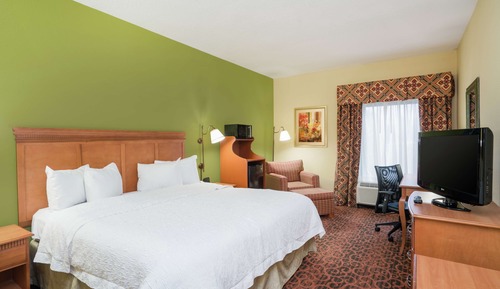 Room, 1 King Bed, Accessible, Non Smoking
