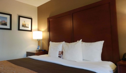 Standard Room, 1 King Bed, Non Smoking