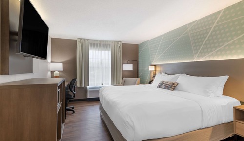 Business Room, 1 King Bed, Non Smoking