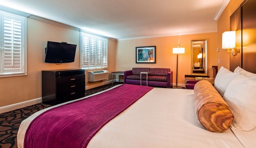 Suite, 1 King Bed, Non Smoking, Refrigerator & Microwave (Walk-in Shower)