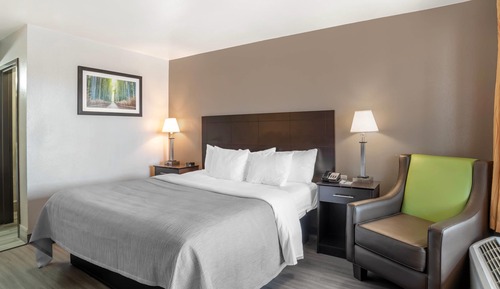 Standard Room, 1 King Bed, Non Smoking