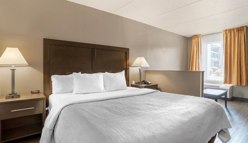 Suite, 1 King Bed, Non Smoking (Upgrade)