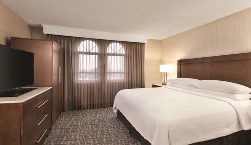 Suite, 1 King Bed, Accessible, Bathtub