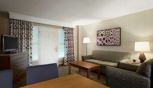 Room, 1 King Bed with Sofa bed