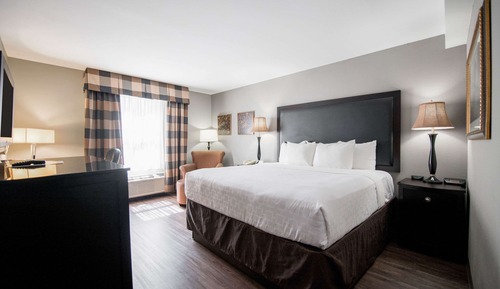Room, 1 King Bed, Non Smoking
