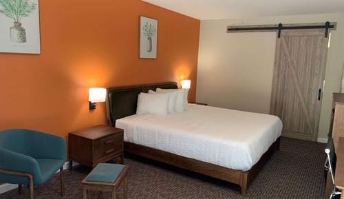 Standard Room, 1 King Bed, Non Smoking, Refrigerator & Microwave