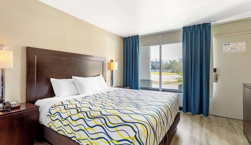 Standard Room, 1 King Bed, Non Smoking