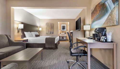 Suite, 1 King Bed, Non Smoking (Larger Room;with Sofabed)