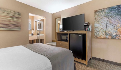Suite, 1 King Bed, Non Smoking, Jetted Tub (with Sofabed)