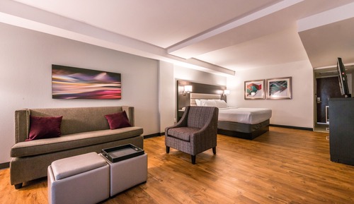 Suite, 1 Bedroom