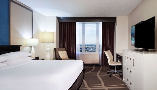 Room, 1 King Bed