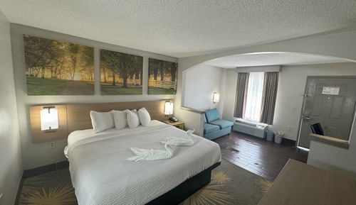 Standard Room, 1 King Bed