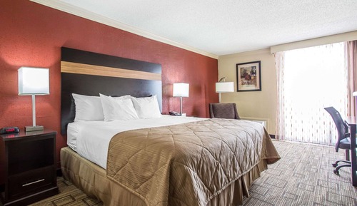 Standard Room, 1 King Bed, Non Smoking