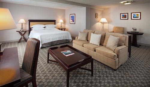 Garden Tower Junior Suite, 1 King Bed with Sofa Sleeper