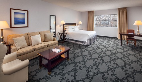 Junior King Suite with Sofa Sleeper
