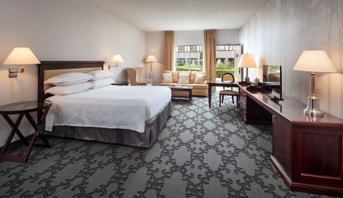 Deluxe Room, 1 King Bed Interior View