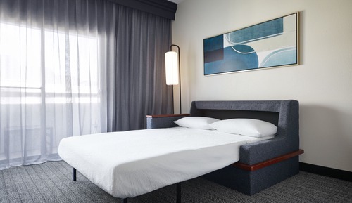 Room, 1 King Bed with Sofa bed (Mobility/Hearing Access, Roll-In Shwr)