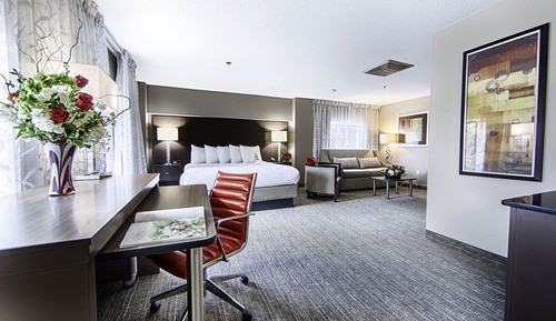 Standard Suite, 1 King Bed, Multiple View