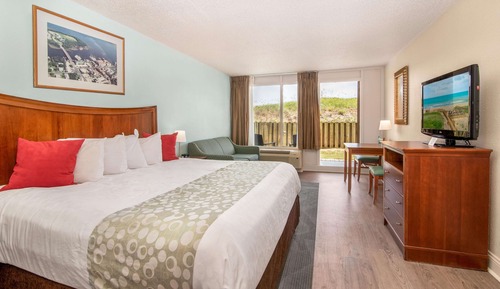 Room, 1 King Bed, Non Smoking (Dune View)