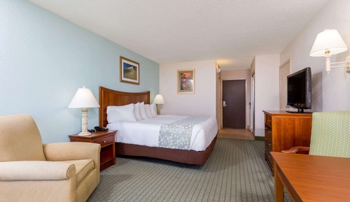 Room, 1 King Bed, Non Smoking, City View (Pet-Friendly)