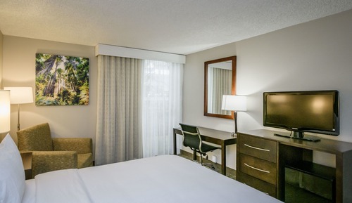 Deluxe Room, 1 King with Sofa Bed, Non Smoking