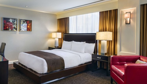 Suite, 1 King Bed